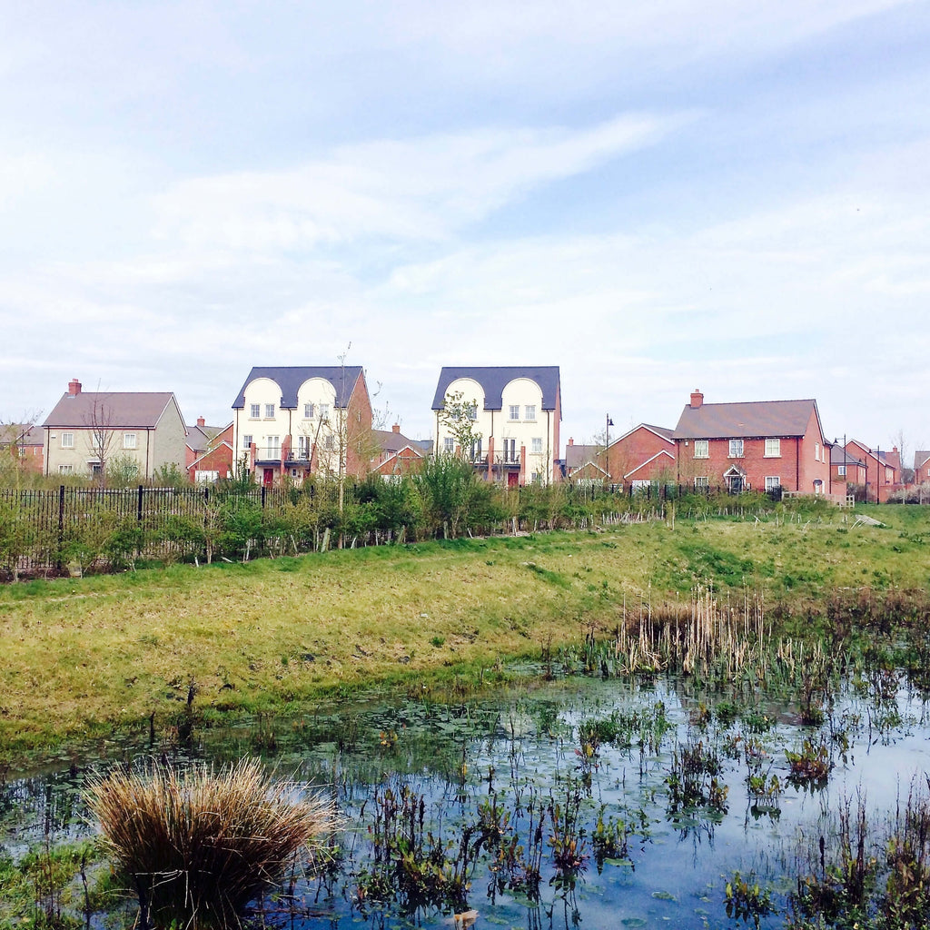 What are Sustainable Drainage Systems (SUDS)